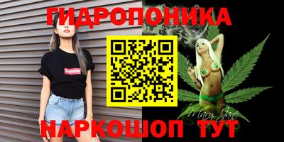 крисы Лесосибирск