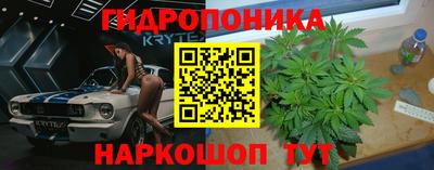 крисы Лесосибирск