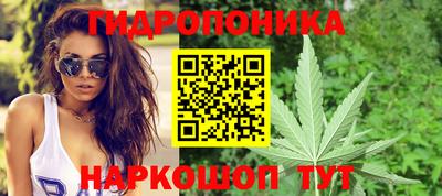 крисы Лесосибирск
