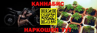 крисы Лесосибирск
