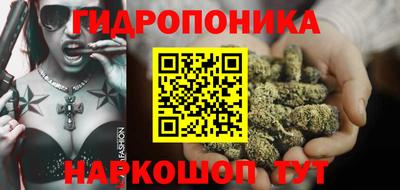 крисы Лесосибирск