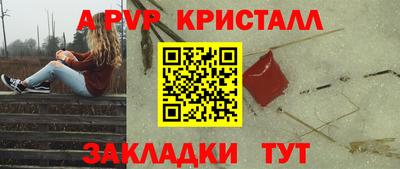 крисы Лесосибирск