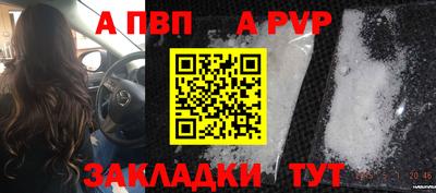 крисы Лесосибирск